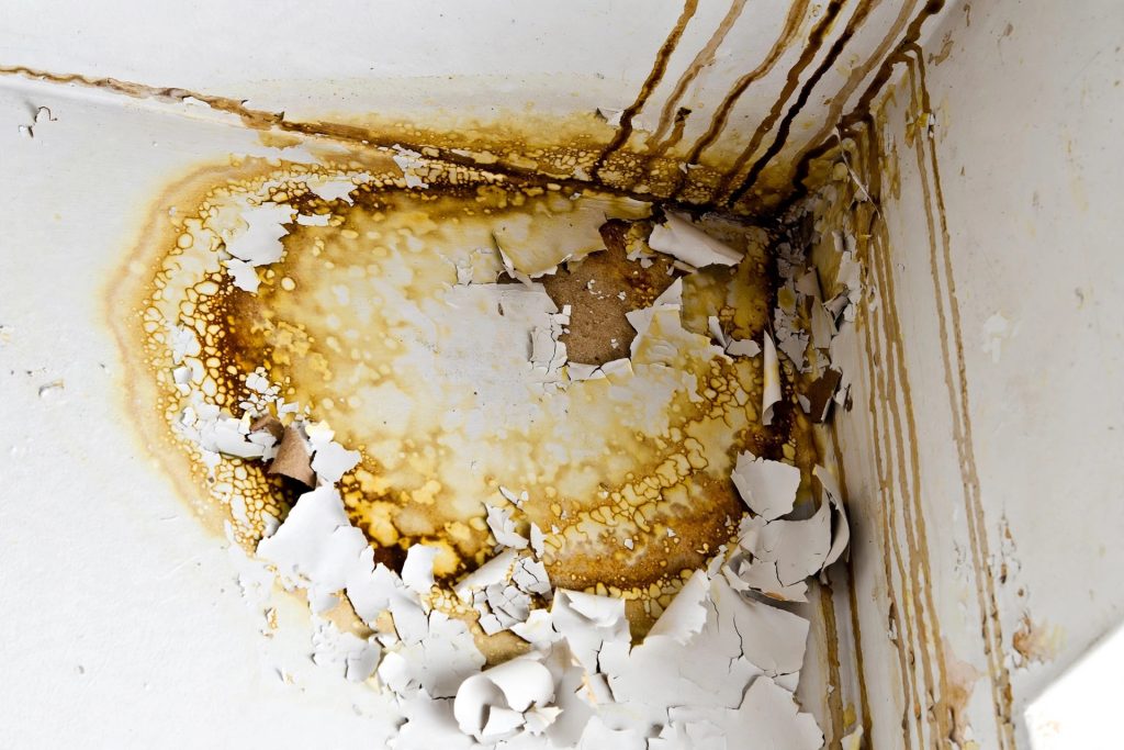 5 Signs Your Wall Damage Is More Than Cosmetic 2 Ceiling water stain with bubbling, peeling paint from a leak